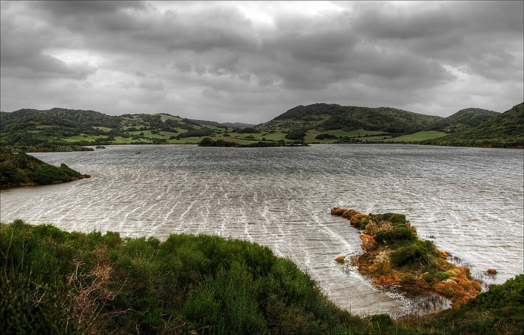 Parc Natural de s'Albufera des Grau