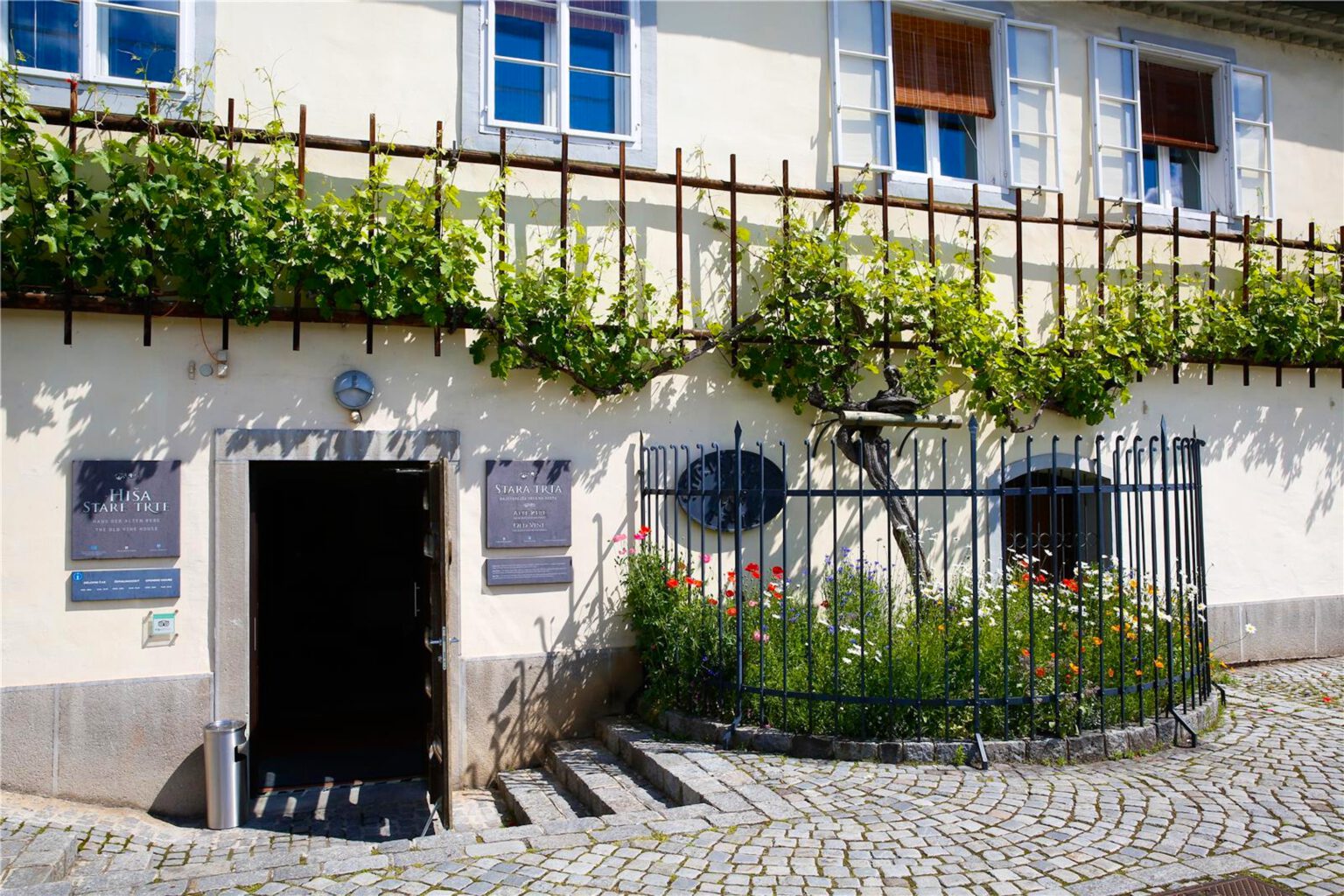 Maribor látnivalók: 16 nevezetesség a szlovén városban