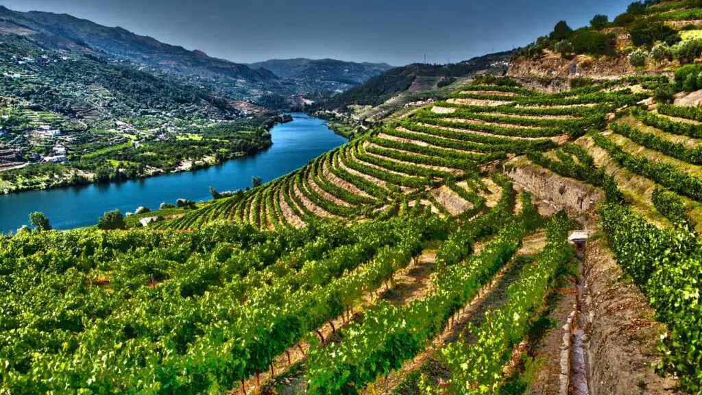 Douro völgy