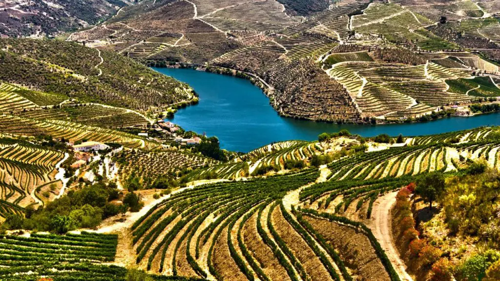Douro-völgy