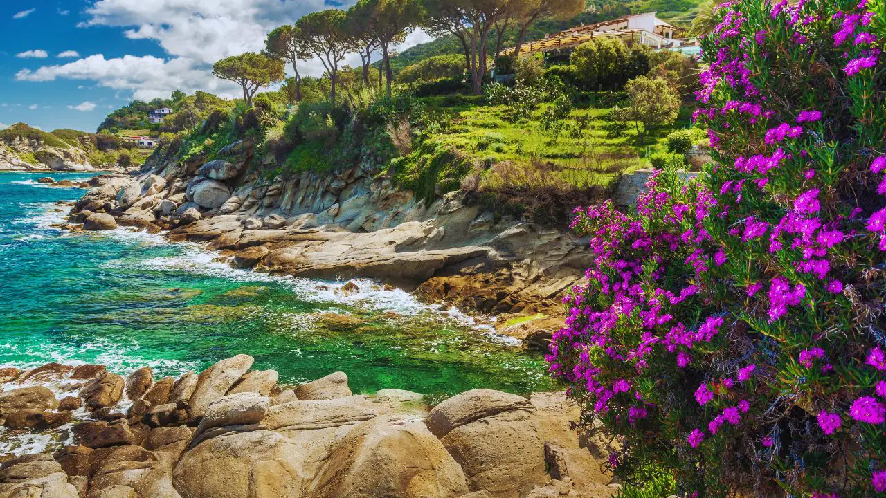 Elba sziget